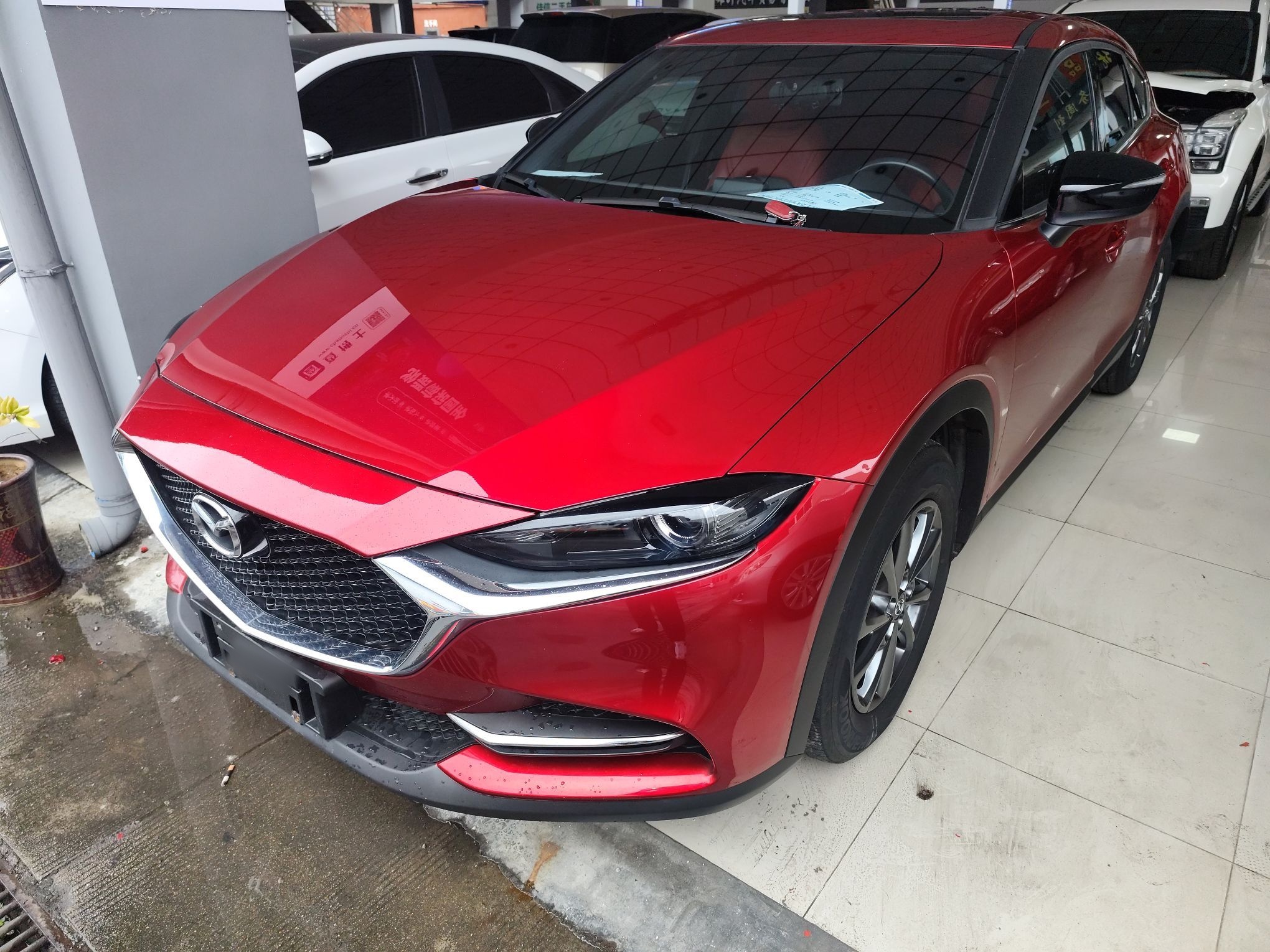 تحت مقدمة السيارة