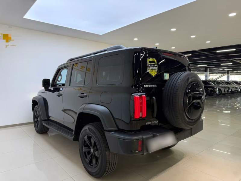 Used Tank 300 2024 2.0T Conqueror — 4