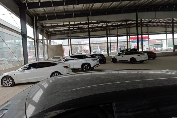 Used BYD Seagull 2024 Honor Edition 305km Dynamic Version