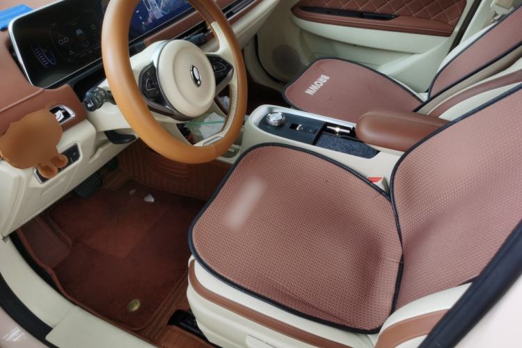 Used ORA Good Cat 2021 400km Standard Range Venus Edition Lithium Iron Phosphate Left Front Seat