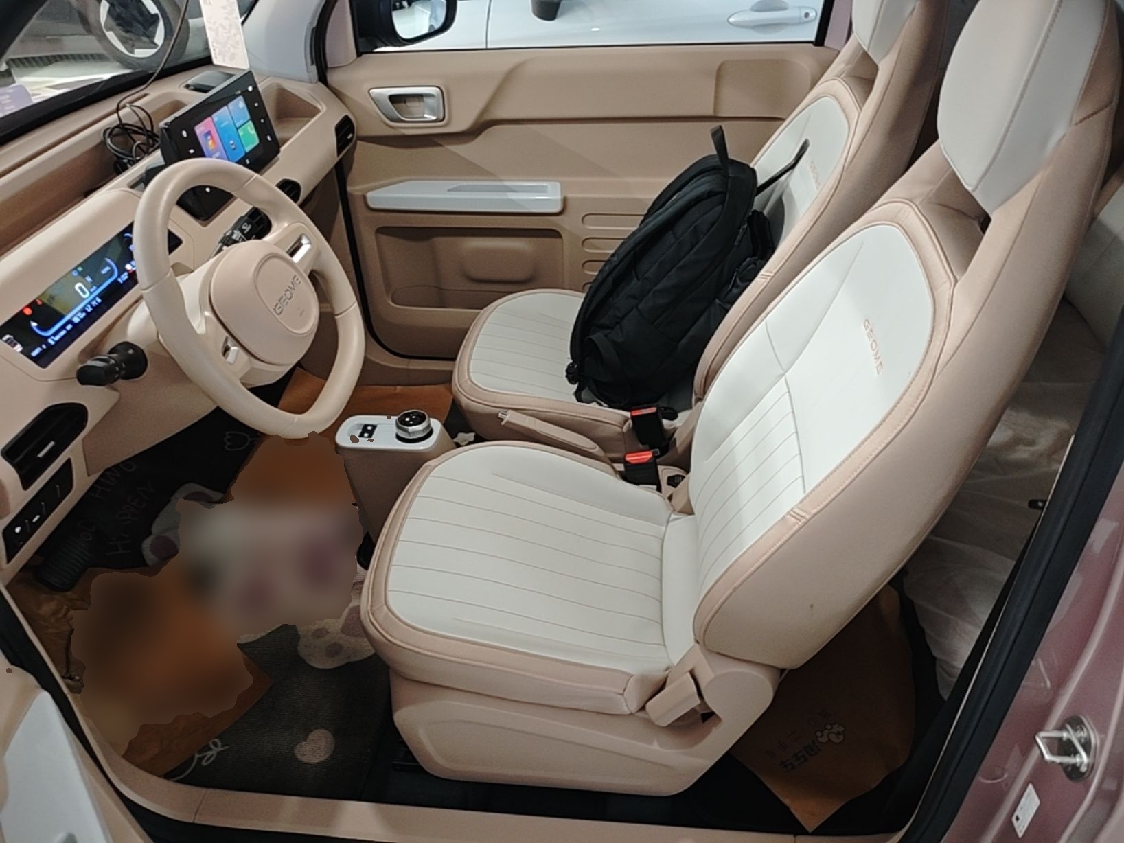 Interior delantero