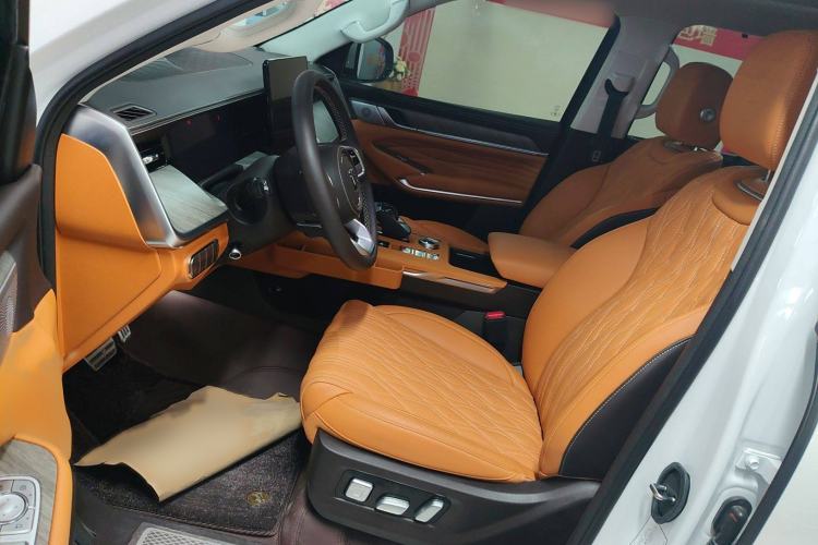 Used Tank 500 New Energy 2025 Hi4-Z Left Front Seat