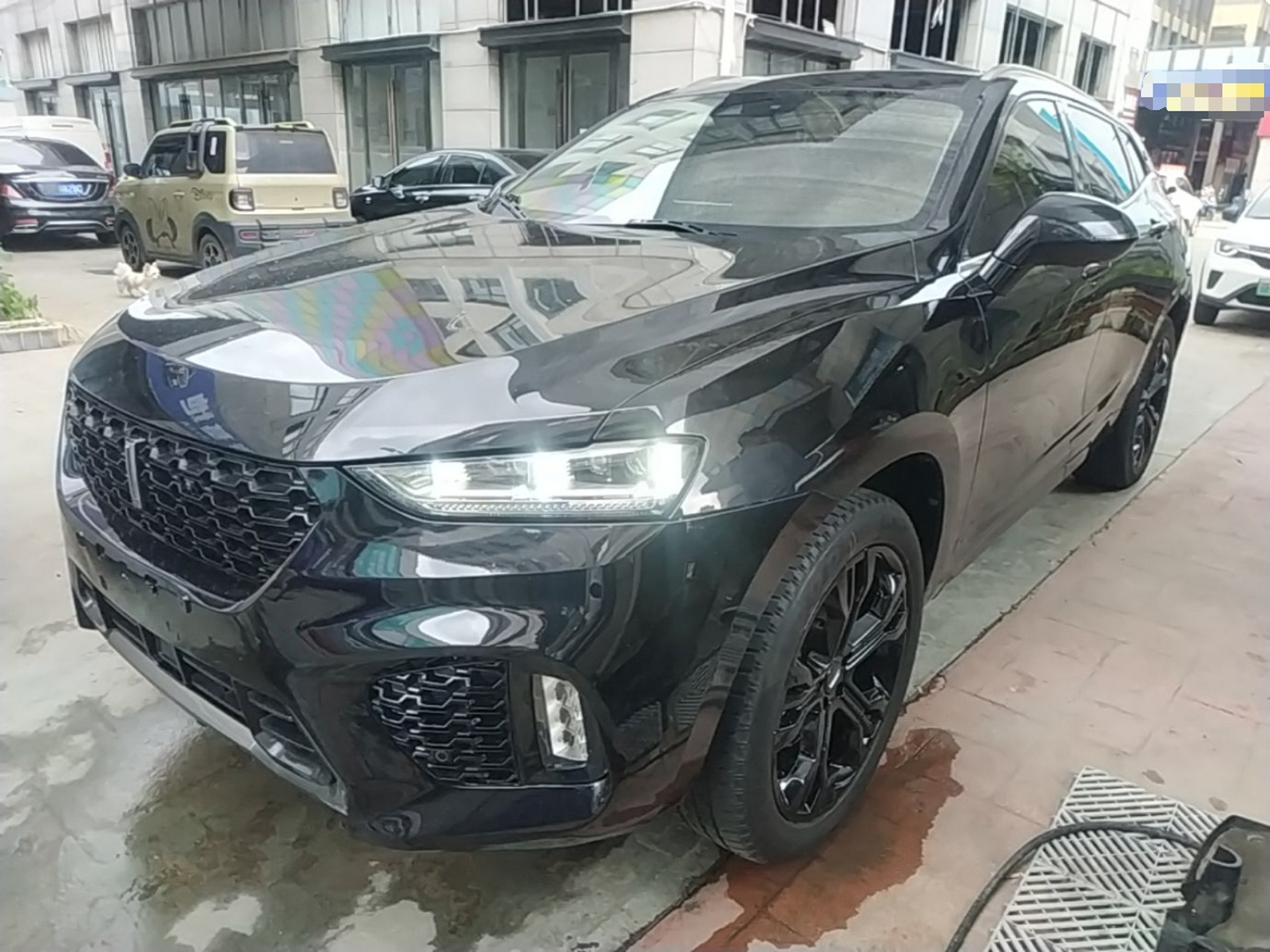 Under Front Bumper