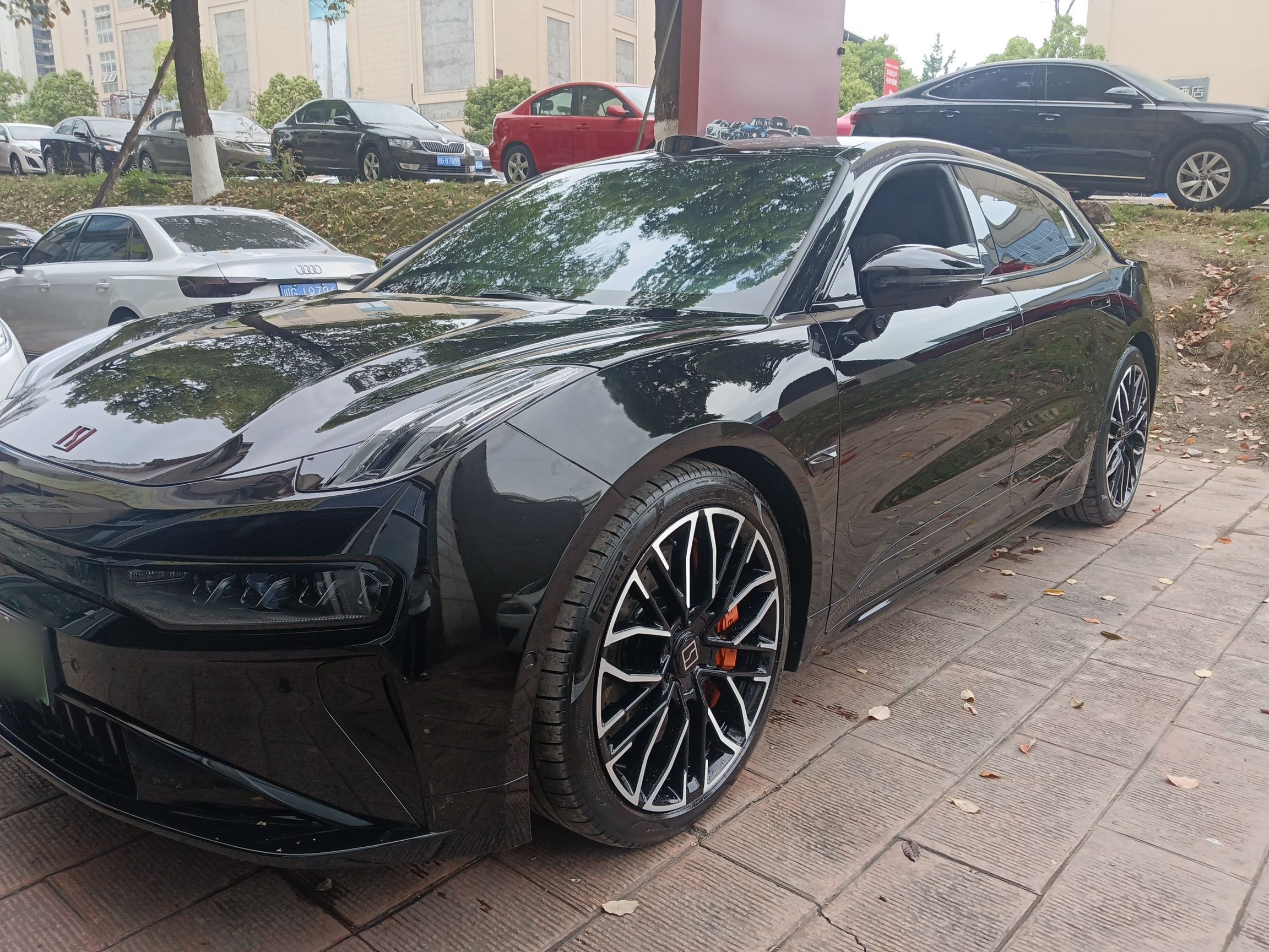 Parte inferior delantera