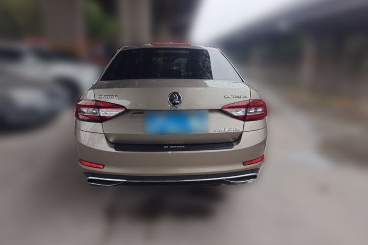 Used Skoda Octavia 2019 1.5L Automatic Luxury Edition Rear