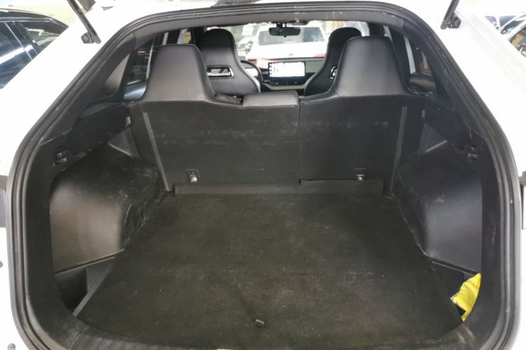 Used Haval H6S 2022 2.0T Two-Wheel Drive JoyRun Version
