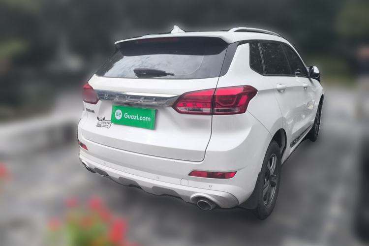 Used Haval H6 Coupe 2019 1.5T Automatic Two-Wheel Drive Elite Version China VI Standard

