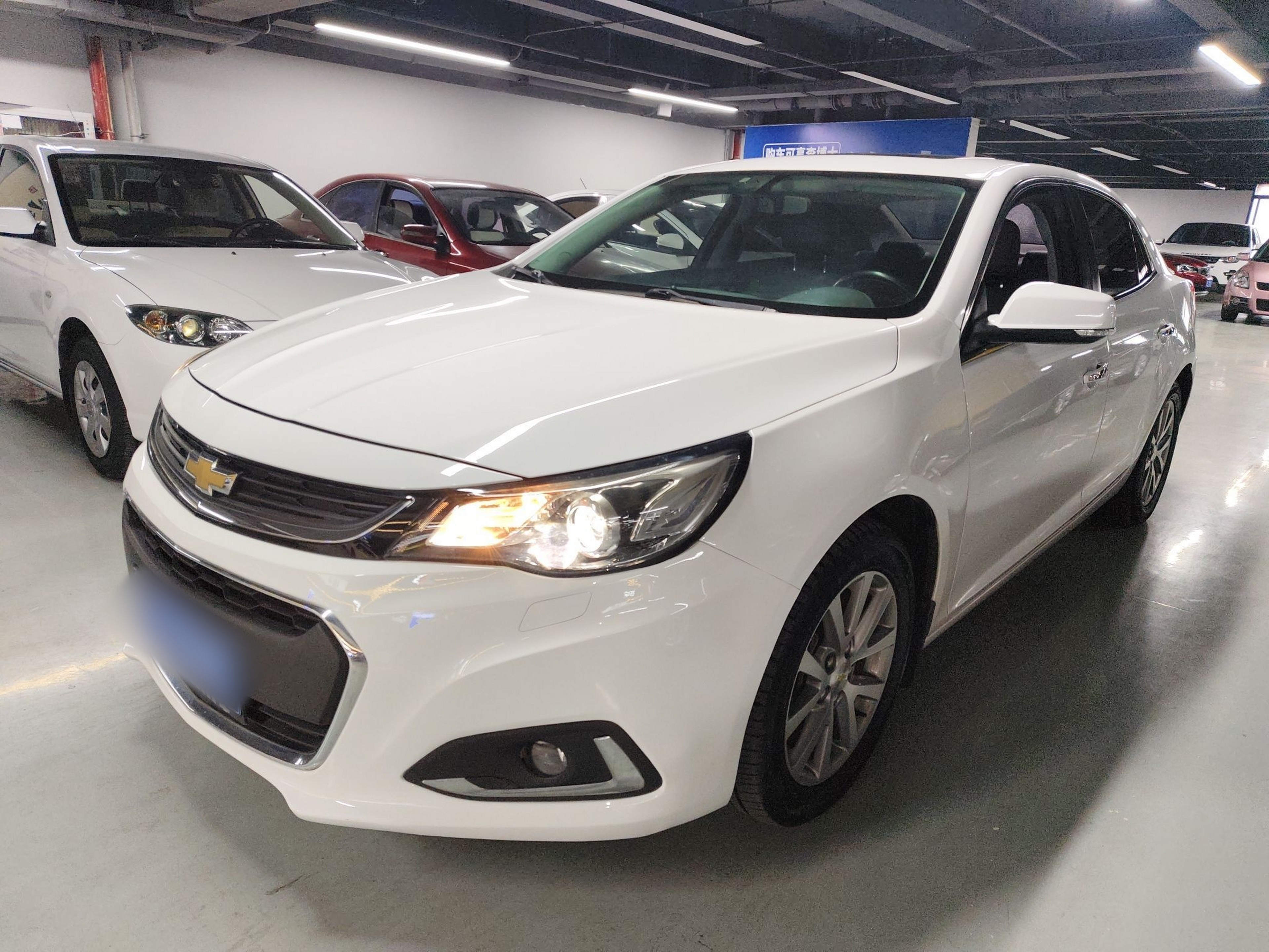 Parte inferior delantera