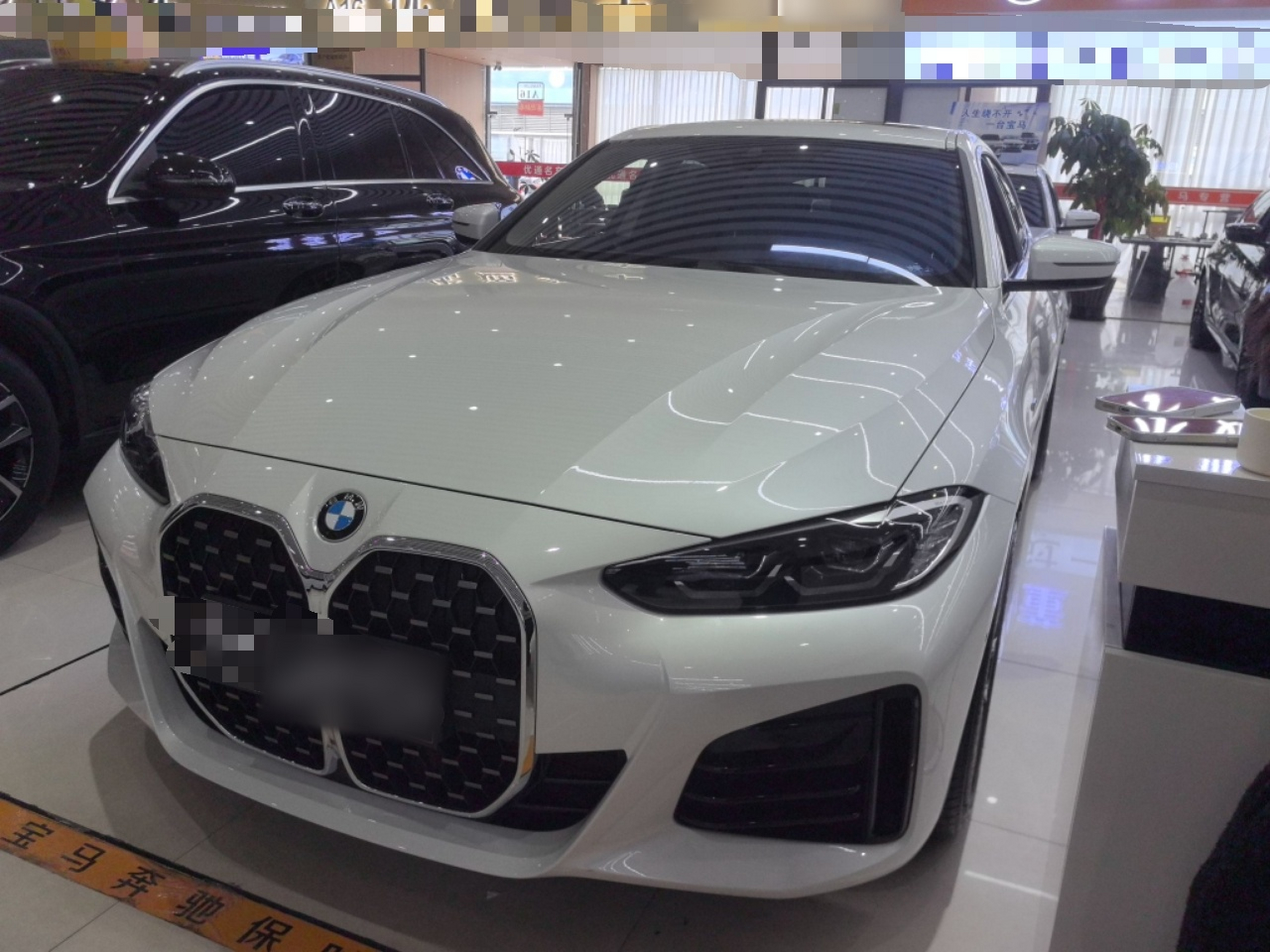 Under Front Bumper