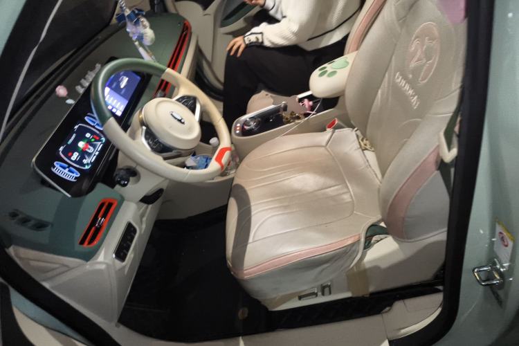 Used ORA Good Cat 2022 Morandi Edition 400km Standard Range Luxury Version Lithium Iron Phosphate
