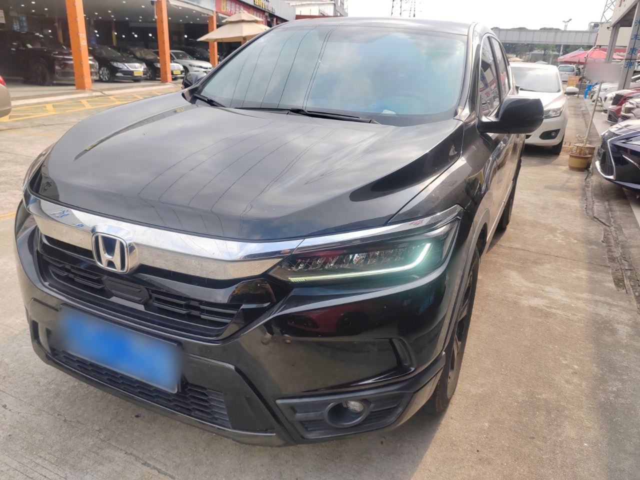 Parte inferior delantera