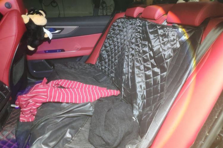 Used Jaguar XEL 2023 2.0T 250 PS R-DYNAMIC S Advanced Sport Edition Left Rear Seat