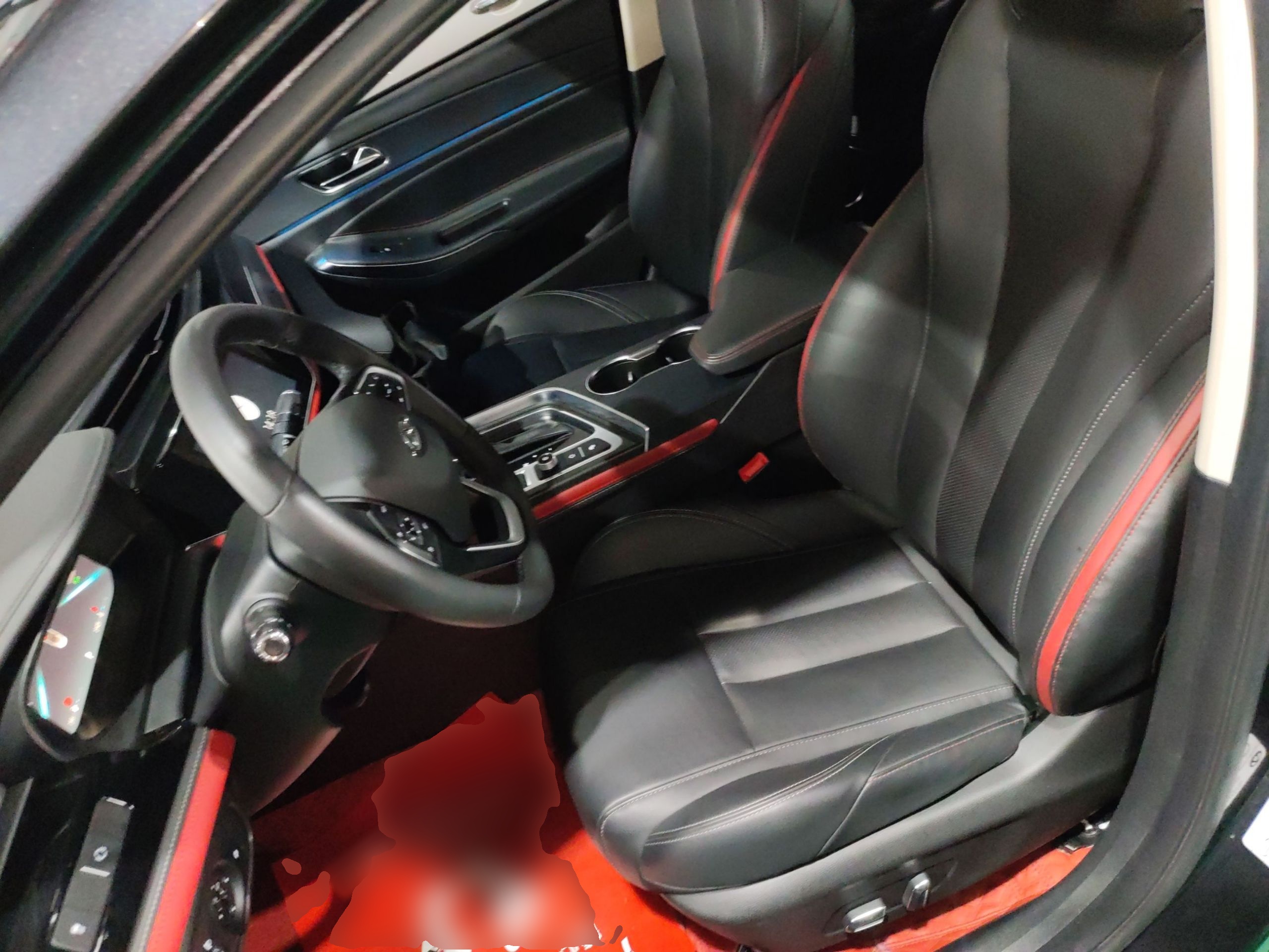 Interior delantero