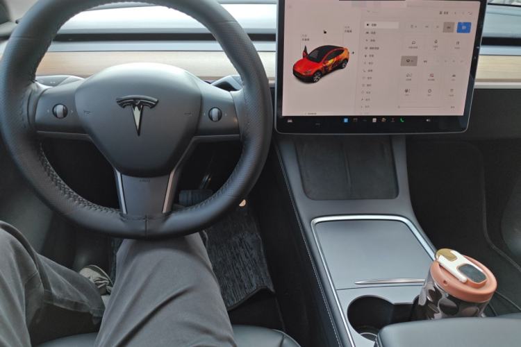 Used Tesla Model Y 2021 Standard Range Rear-Wheel Drive Version
