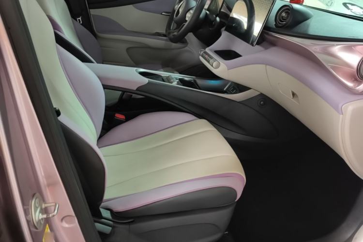 Used BYD Dolphin 2021 405 km Fashion Edition Right Front Seat
