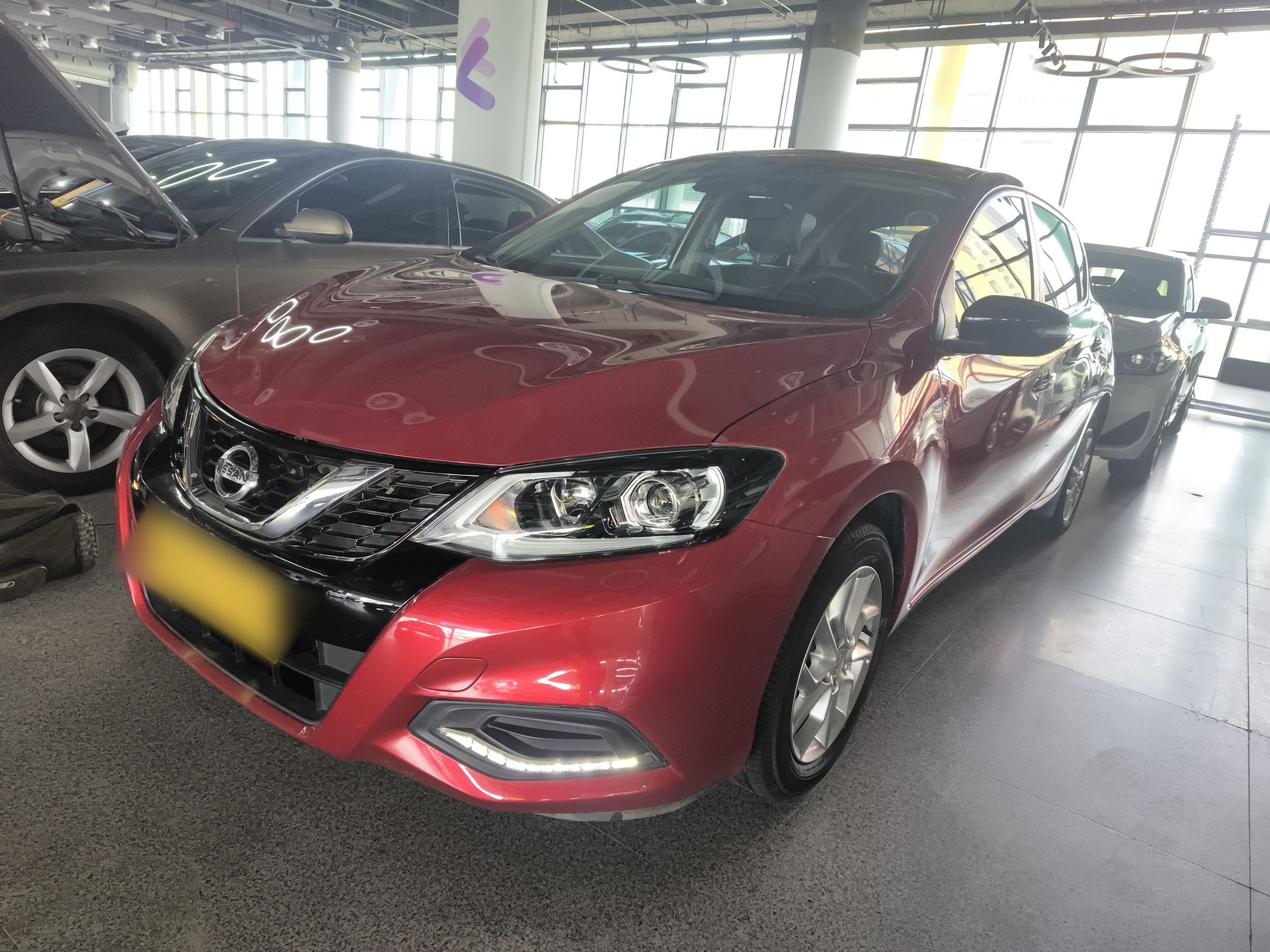 Parte inferior delantera