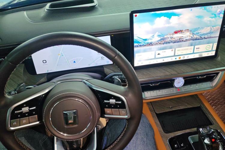 Used Tank 500 New Energy 2024 Hi4-T Center Console