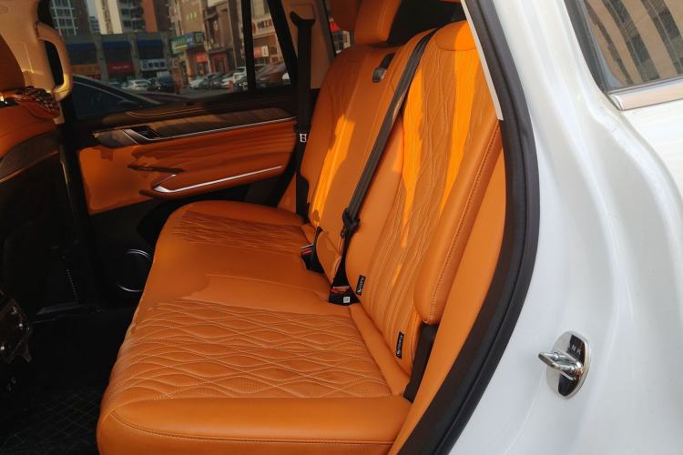 Used Tank 500 New Energy 2023 Hi4-T Left Rear Seat