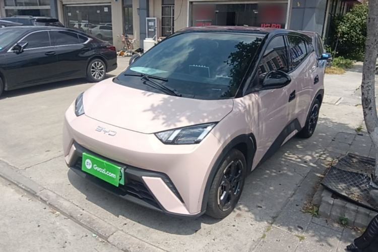 Used BYD Seagull 2024 Honor Edition 305km Freedom Version
