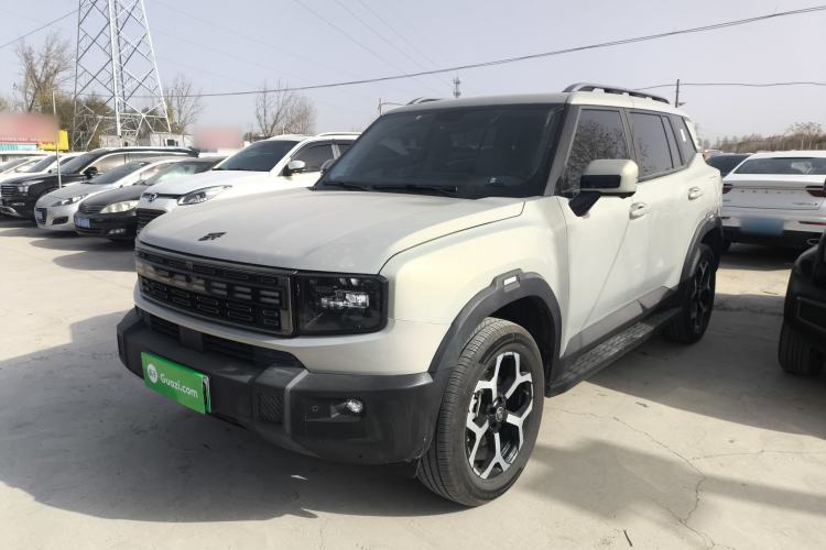 Used JETOUR Shanhai T1 2025 150 km to the Lake