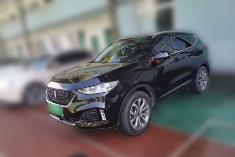 Used Wey VV6 2019 2.0T Two-Wheel-Drive Flagship Version China VI Standard