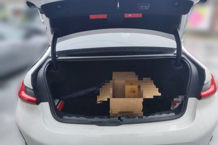 Used BMW 3 Series 2024 325Li M Sport Package
