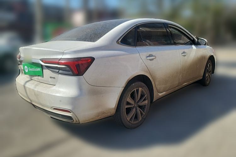 Used Rising ER6 2021 New Dynamic Edition 520km Smart Leading Version
