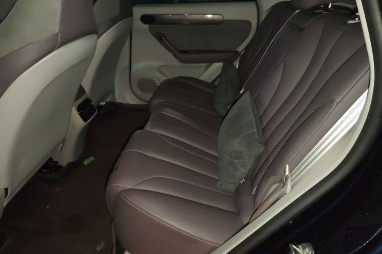 Used Leapmotor C11 2021 Luxury Edition
