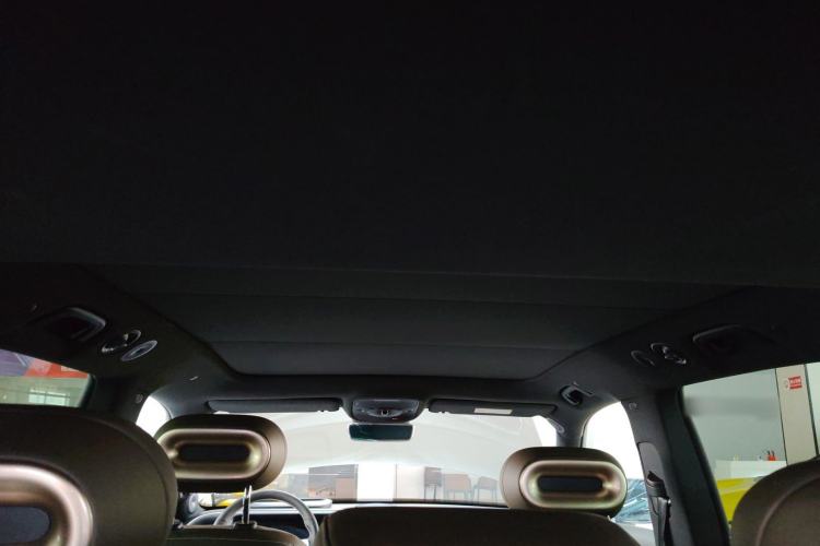 Used smart #5 2024 Jungle Realm Limited Edition