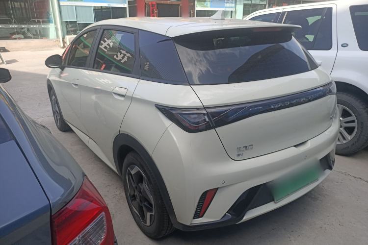 Used BYD Dolphin 2025 420km Active Version Rear Left 45 Deg