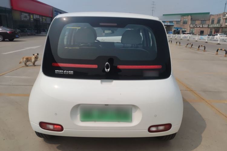 Used ORA White Cat 2020 305 km Luxury Version
