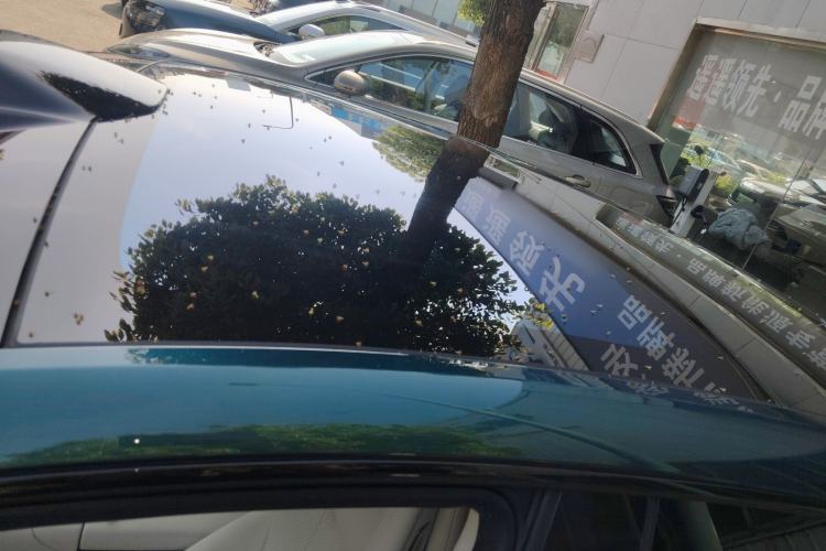 Used Hima Luxeed S7 2026 Model Max+
