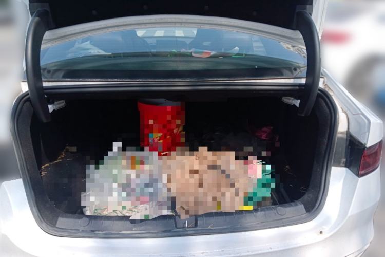 Used BYD Qin PLUS 2024 HONOR Edition DM-i 55KM Leading Model