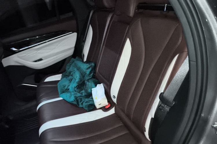 Used Geely Auto Monjaro L 2021 2.0TD DCT EVO Two-Wheel-Drive Flagship Version