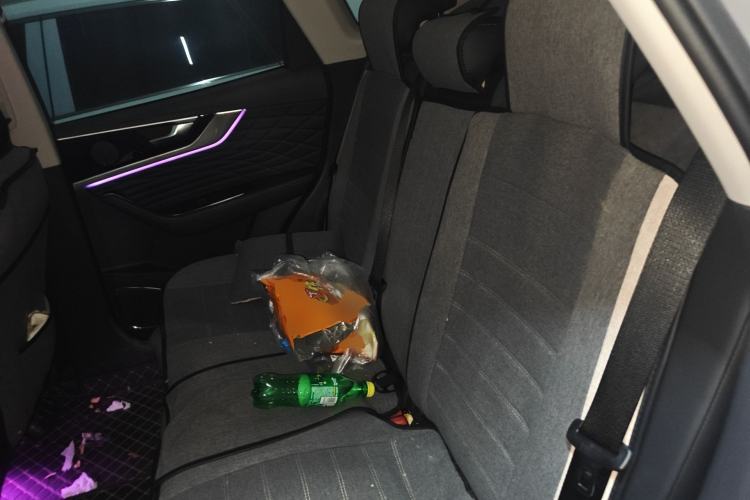 Used Hongqi HS5 2022 2.0T Smart Connect Flagship All-Wheel Drive LeGou Edition
