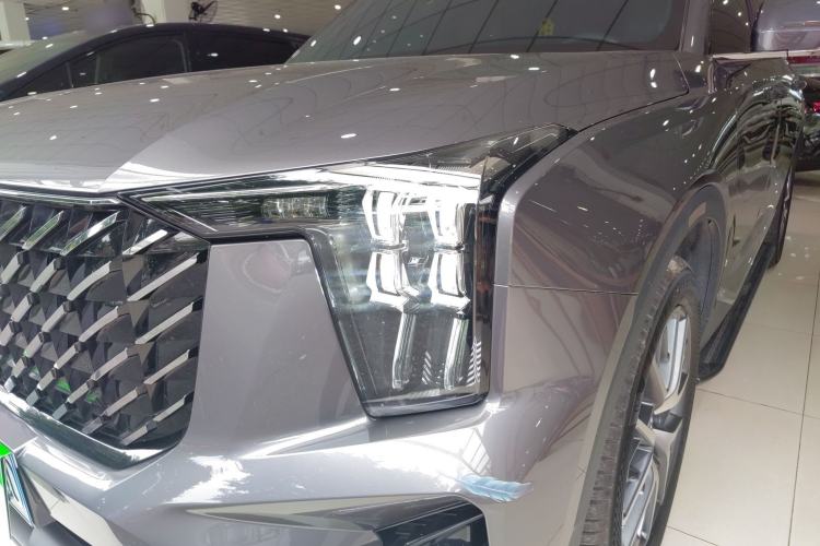 Used GAC Trumpchi GS8 2024 Linghang Series 2.0 TGDI Two-Wheel Drive Luxury Smart Connectivity Version
