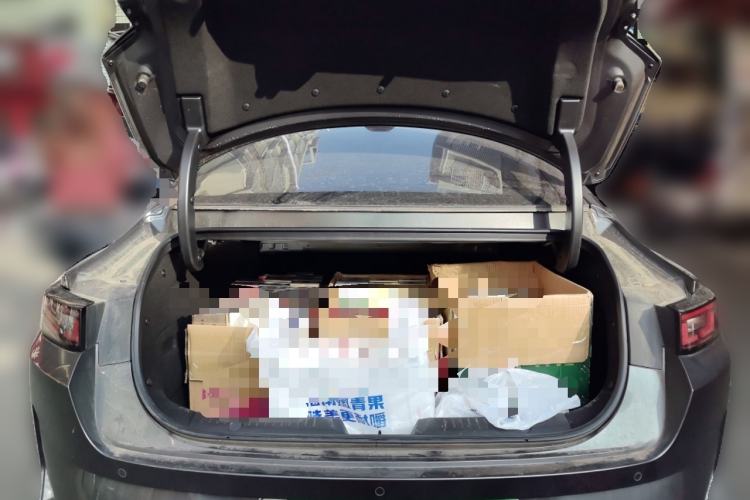 Used CHANGAN NEVO A05 2024 70 Pro Trunk