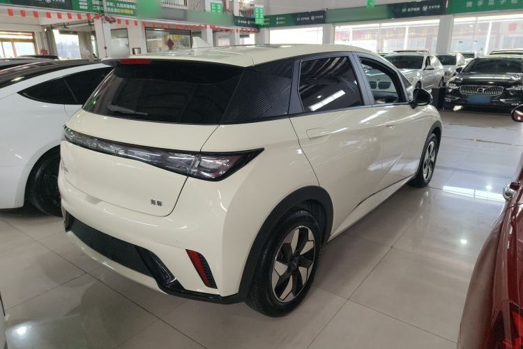 Used BYD Dolphin 2024 Honor Edition 420km Fashion Version
