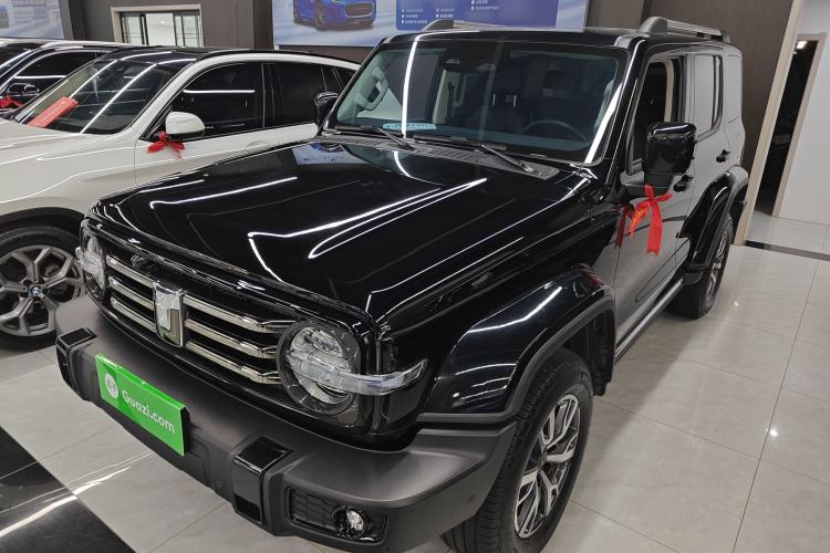 Used Tank 300 2024 2.0T Crosser