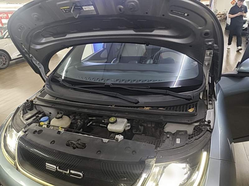 Used BYD Dolphin 2021 405 km Free Version — 19