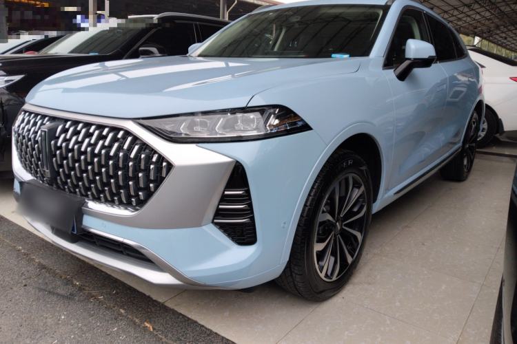 Used Wey Mocha 2021 2.0T Two-Wheel-Drive Premium Edition