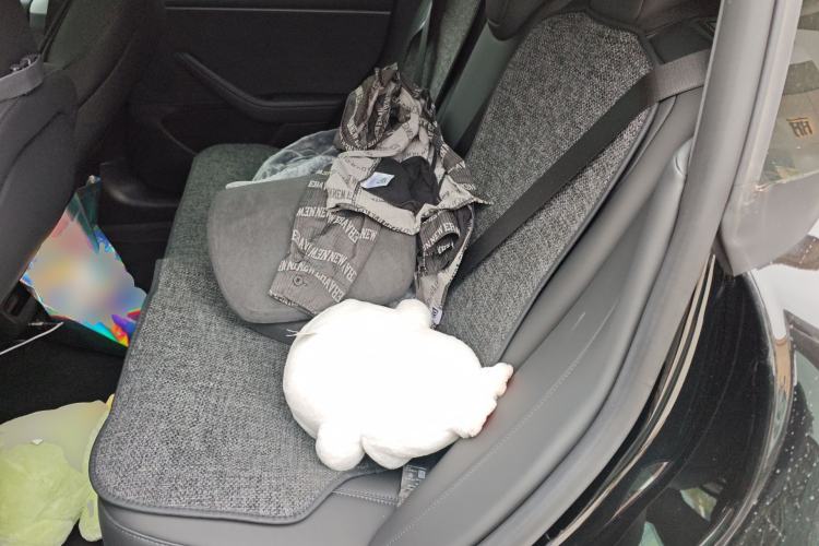 Used Tesla Model 3 2025 Model Revised Long-Range All-Wheel-Drive Version Left Rear Seat