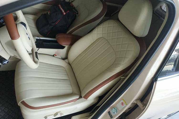 Used ORA Good Cat 2022 Morandi Edition 400km Standard Range Luxury Version Lithium Iron Phosphate Left Front Seat