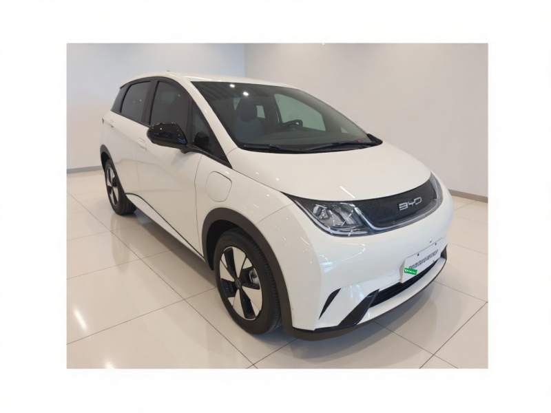 Used BYD Dolphin 2023 420 km Free Version — 3