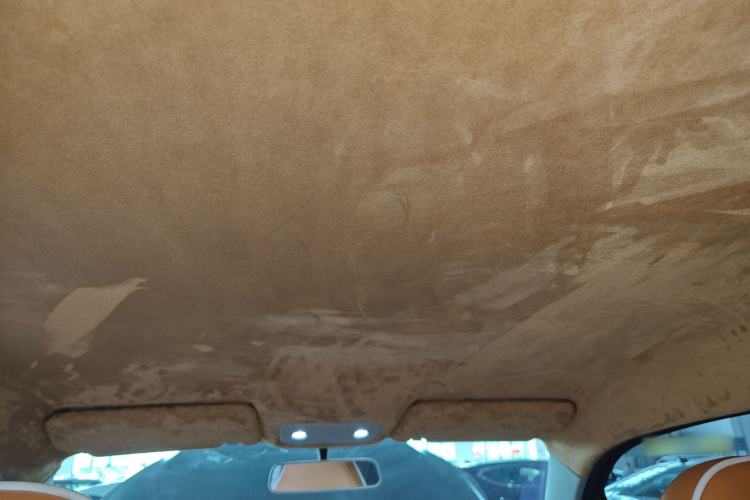 Used Leapmotor T03 2023 310 Lite Edition Headliner