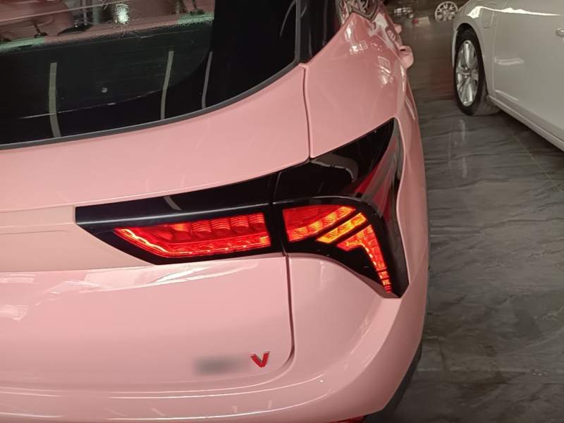 Used NETA V 2022 Chao 400 Lite Pink Custom Edition — 7