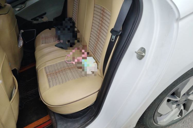 Used Geometry A 2019 High-Performance Standard Range Power Edition Left Rear Seat