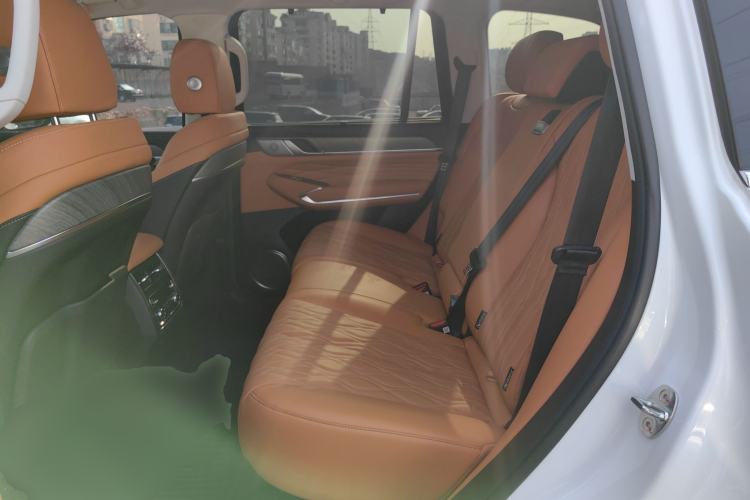 Used Tank 500 New Energy 2025 Hi4-Z Left Rear Seat