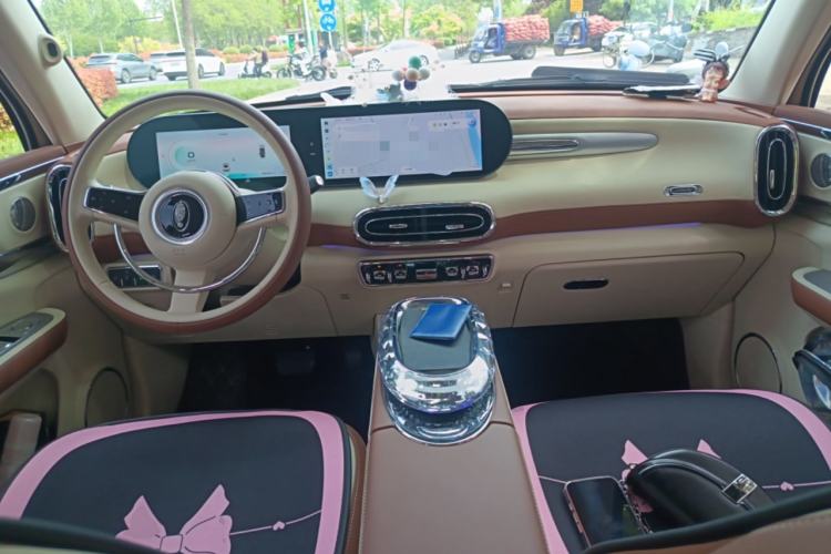 Used ORA Ballet Cat 2023 401 km Luxury Version Center Console