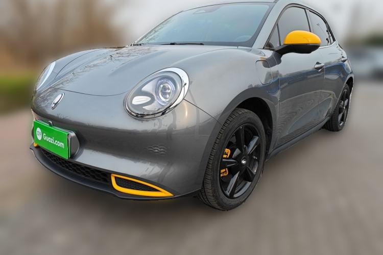 Used ORA Good Cat 2024 401 km Luxury Version